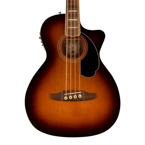 Acoustic Guitars – Fender
