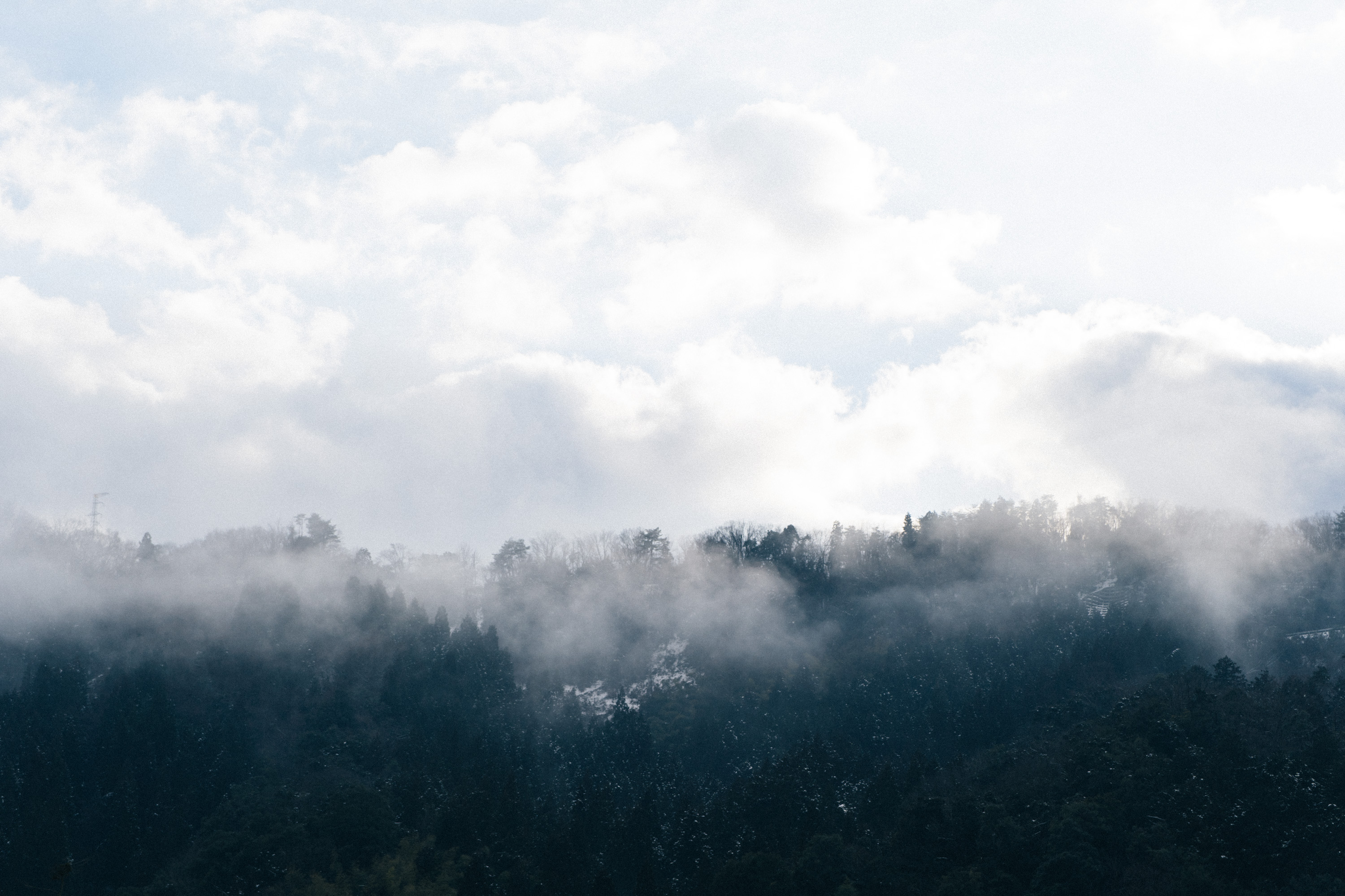 LettersGridTopC image