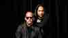 Infected Mushroom