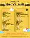 Skyline Music Festival By Day Lineup