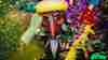 Elrow Sambodromo do Brasil