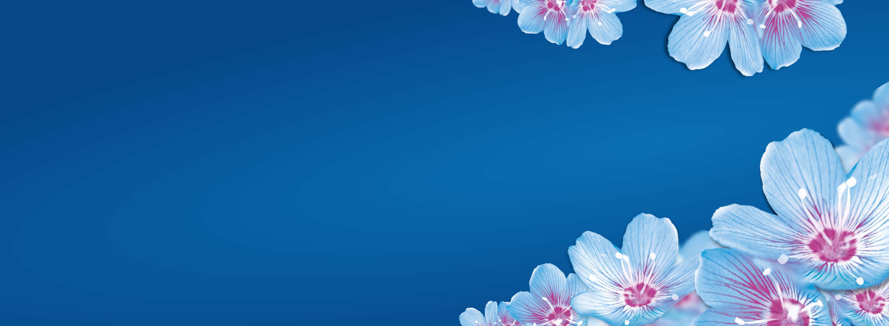 Lenor Aprilfrisch Toallitas Azules Refrescantes Perfumadas 34 piezas -  Alemania, Nuevo - Plataforma mayorista