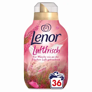 36 WL