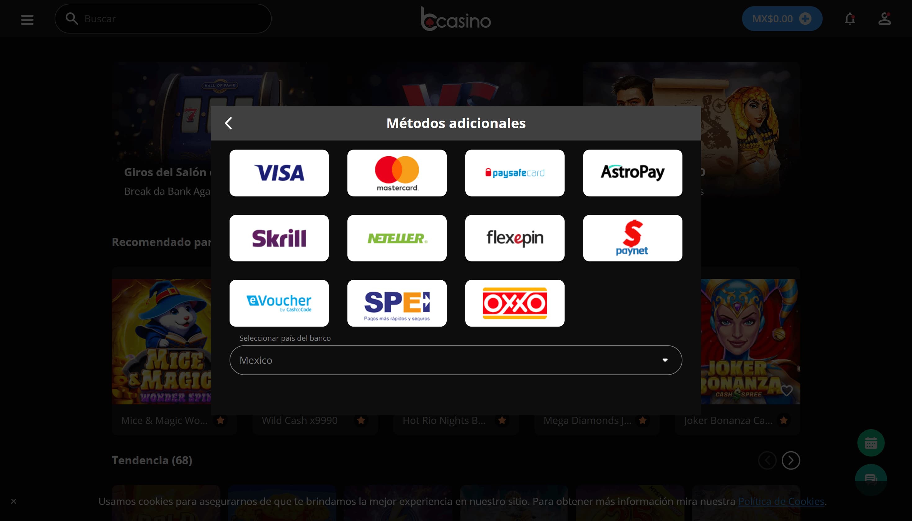 bcasino métodos de pago