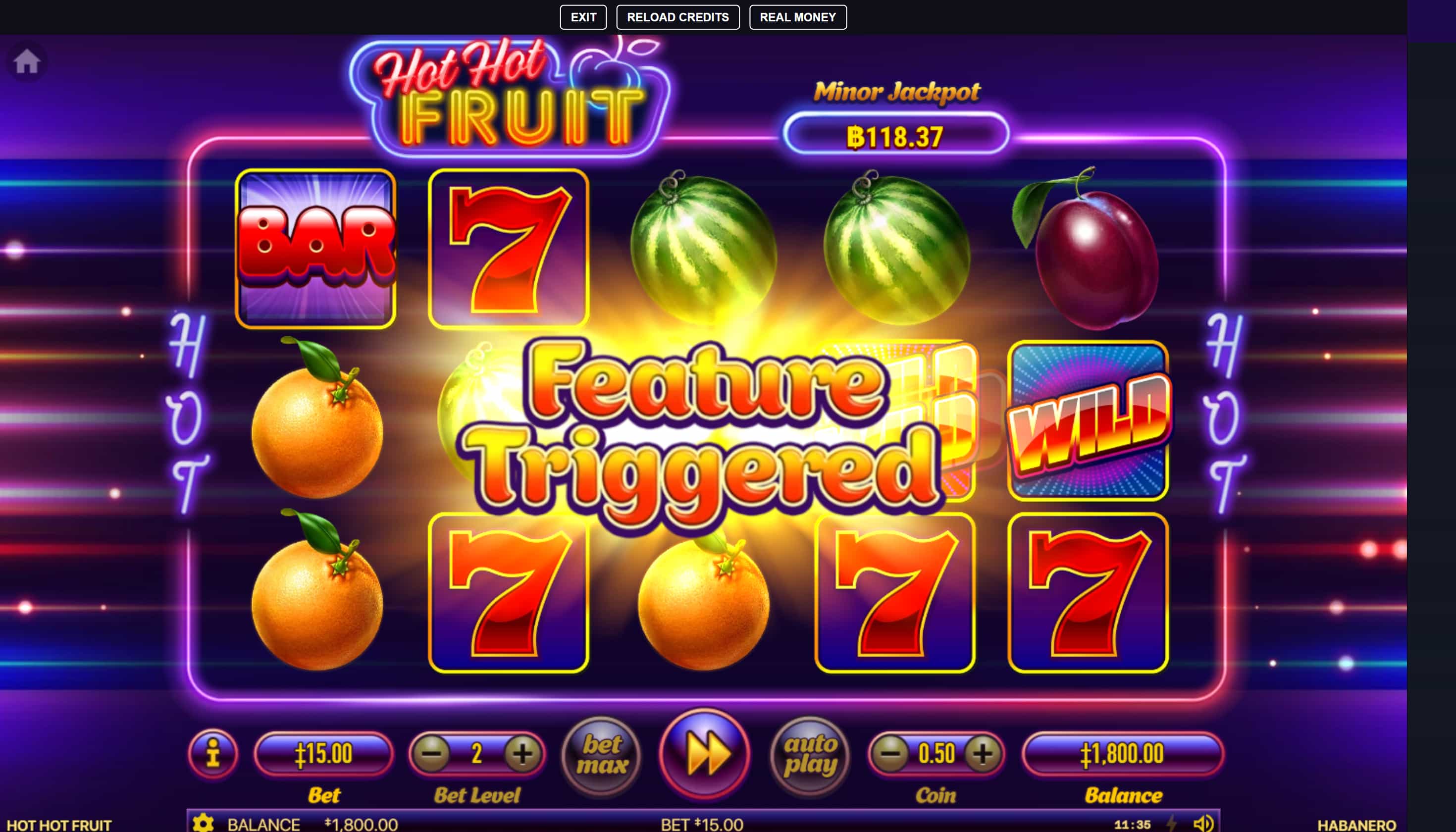 Hot Hot Fruit Slot