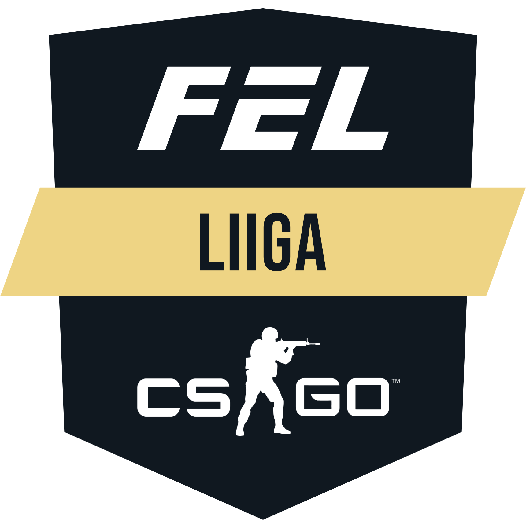 Finnish Esports Leaguen Counter-Strike-liigassa 10 joukkuetta taistelevat 20 000 euron palkintopotista sekä paikasta 100 000 euron Arctic Invitational -turnaukseen, joka järjestetään Hartwall Arenalla syyskuussa.