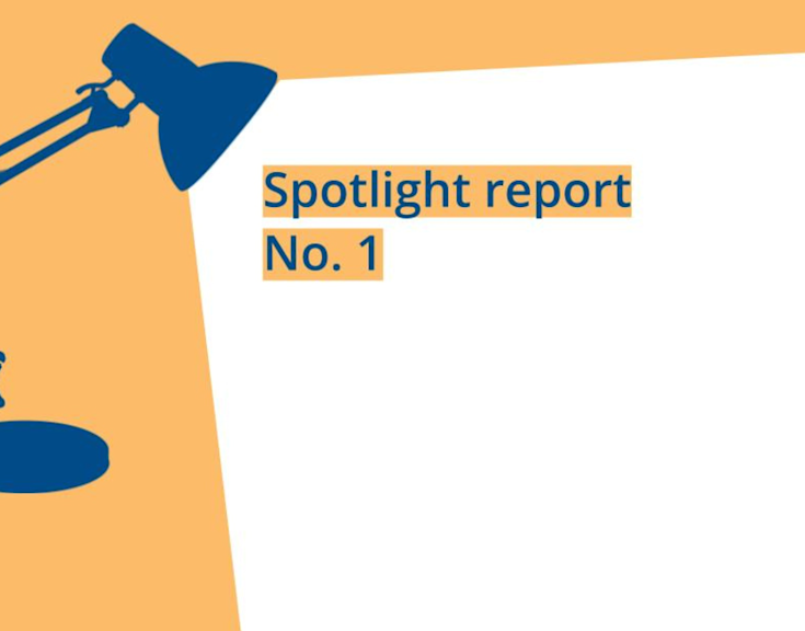 Graphic of a spotlight on a yellow background illuminating the title of the report
