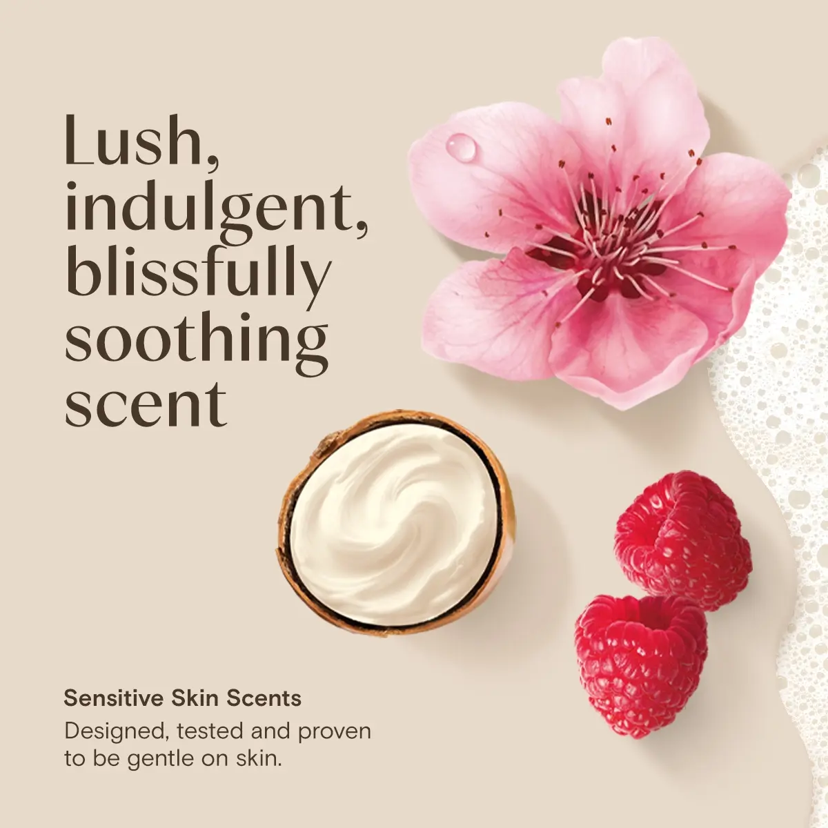 Aveeno® DM Shea Butter Berry Body Wash, warm, decadent, irresistibly comforting scent