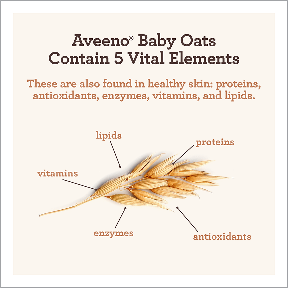Digital image showing vital elements of oats: proteins, antioxidants, enzymes, vitamins, lipids