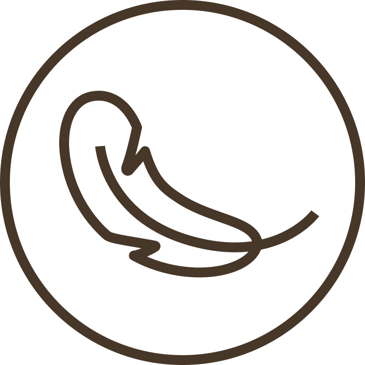 A graphic illustration of a feather, representing sensitive skin