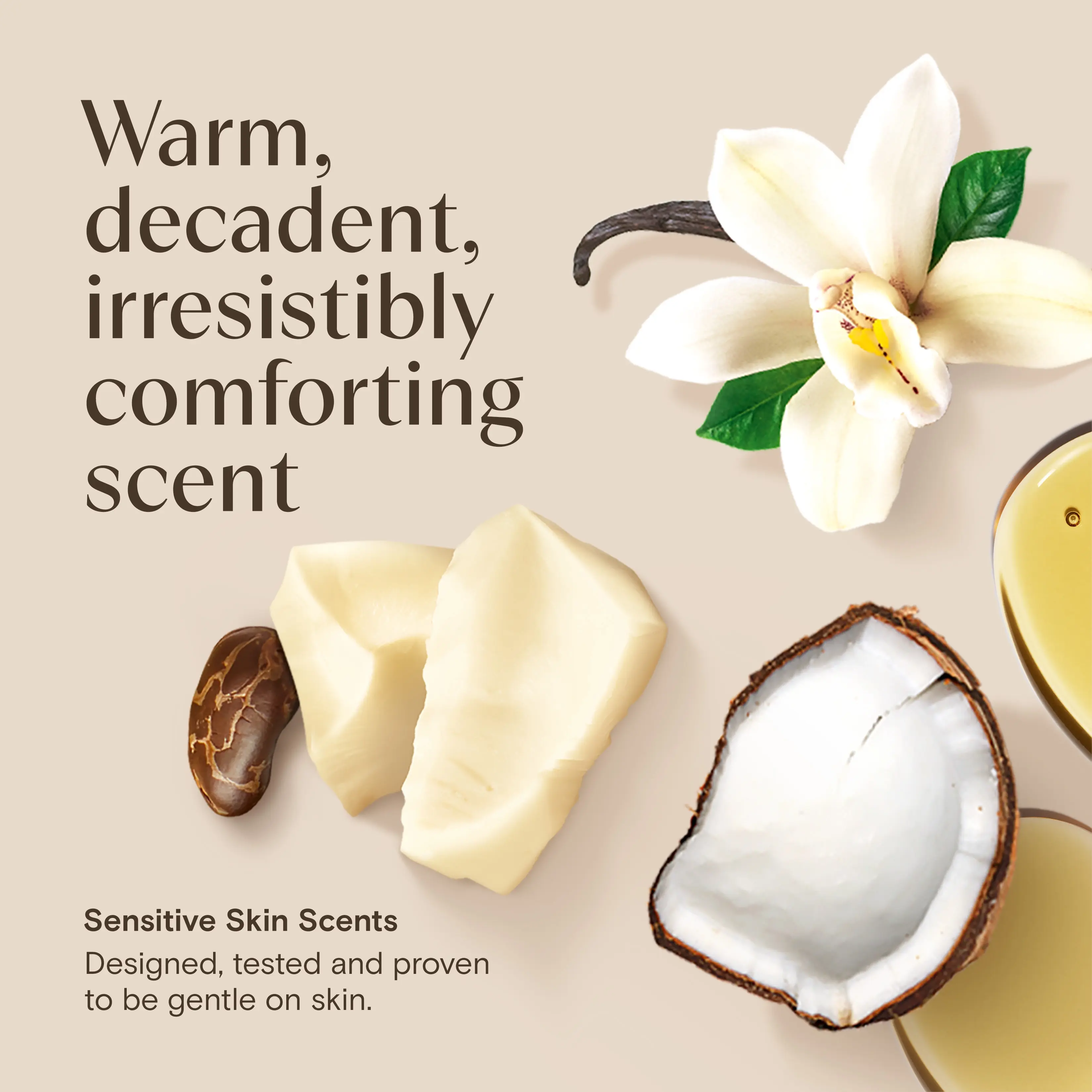 Aveeno® Daily Moisturizing Body Oil Mist, warm, decadent, irresistibly comforting scent