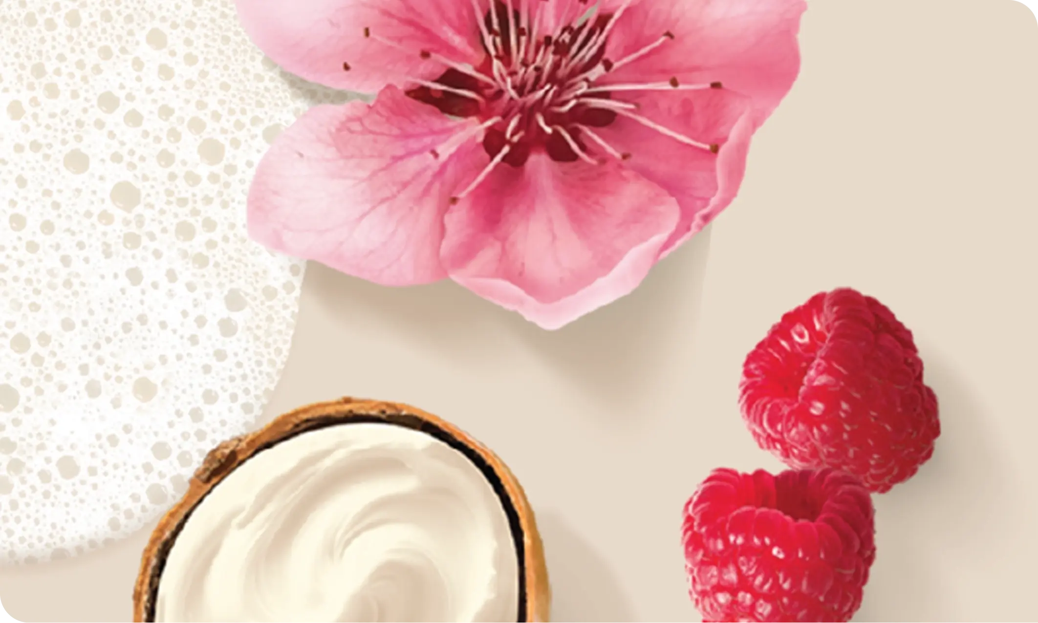 Image featuring Shea Butter Berry Scent showing the ingredients itself