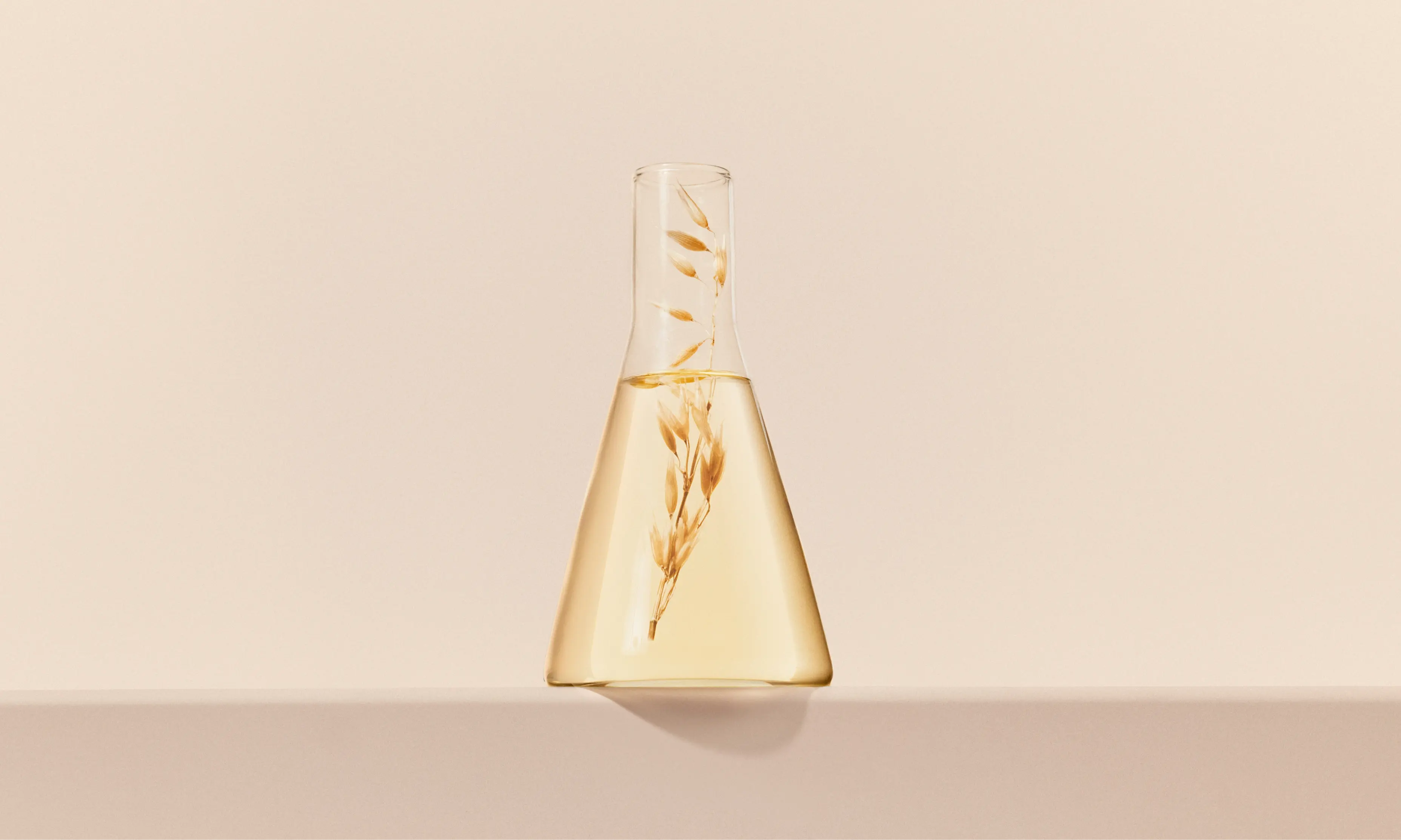 A glass flask containing a small oat plant, showcasing a formula based on oat ingredient