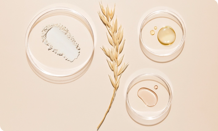 Oat extract in petri dishes showcasing benefits for skin relief and care