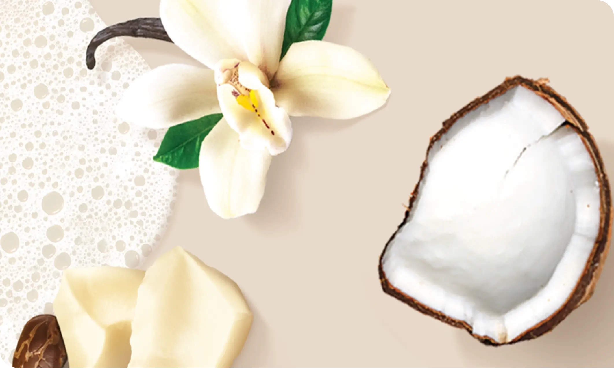 Image featuring Cocoa Butter Vanilla Scent showing the ingredients itself