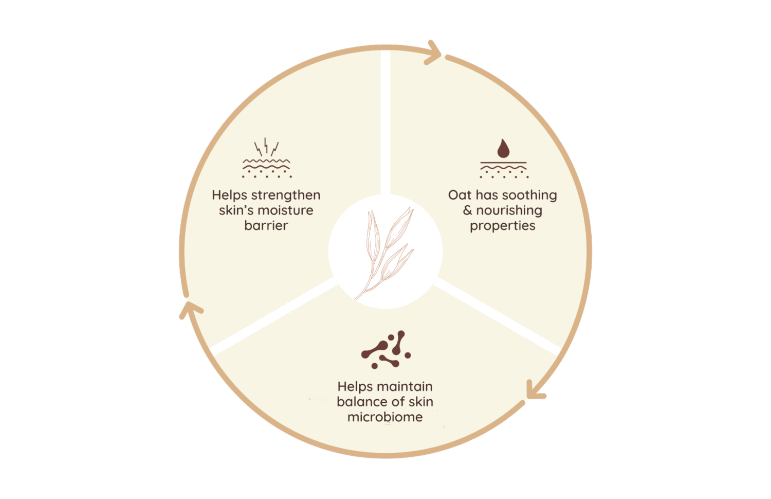 Power of Oat Infographic