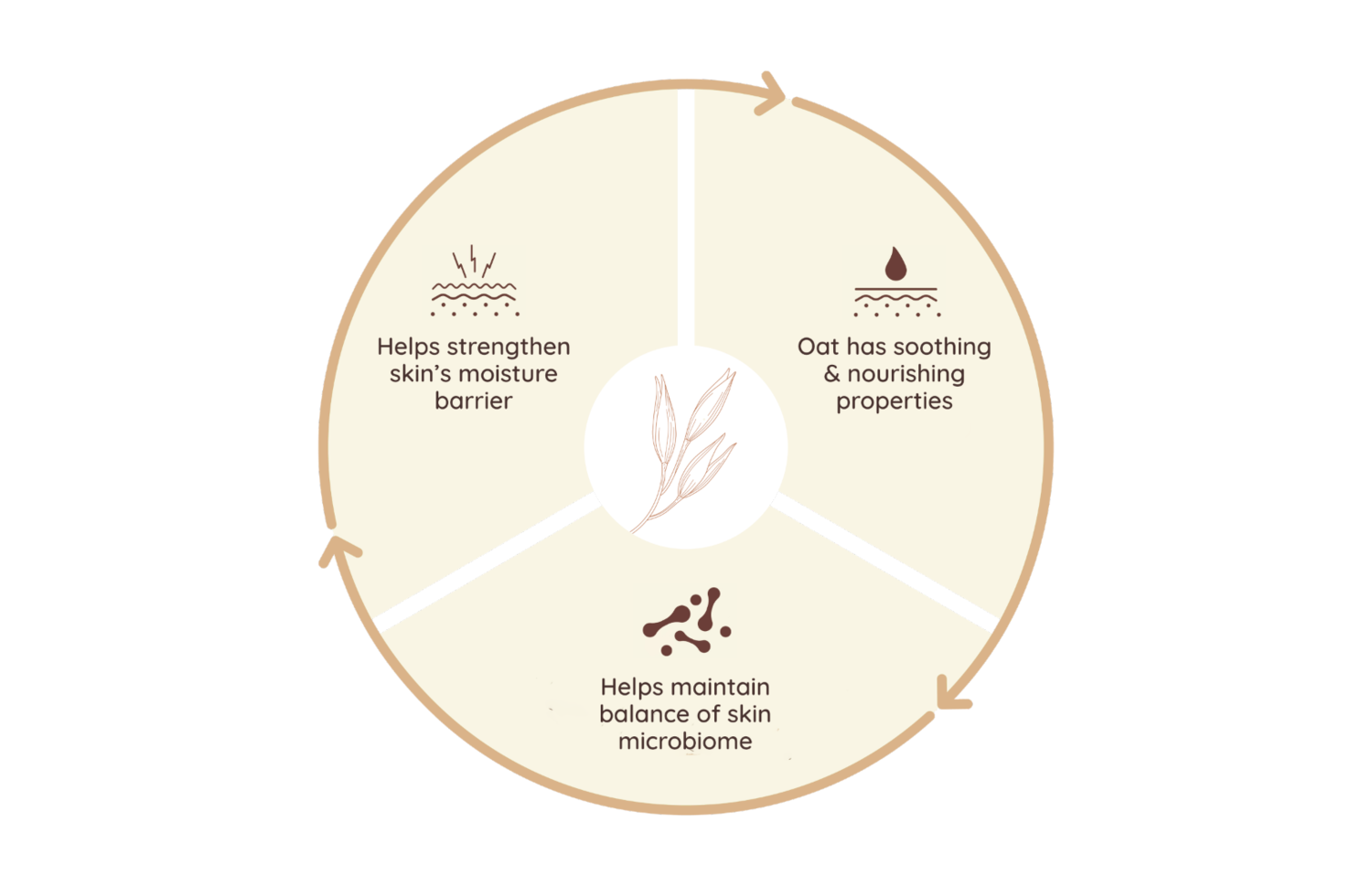 Power of Oat Infographic