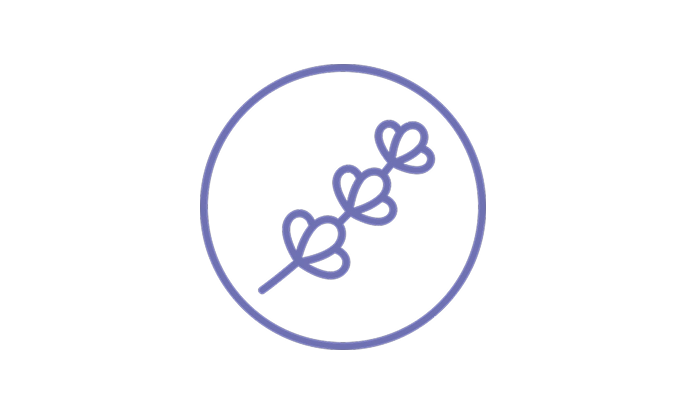 Icon of Aveeno® Stress Relief - Lavender scentIcon of Aveeno® Stress Relief - 2x moisture in 2 steps