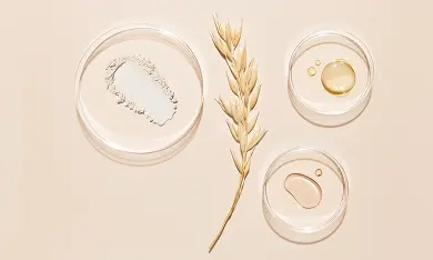 Oat extract in petri dishes showcasing benefits for skin relief and care