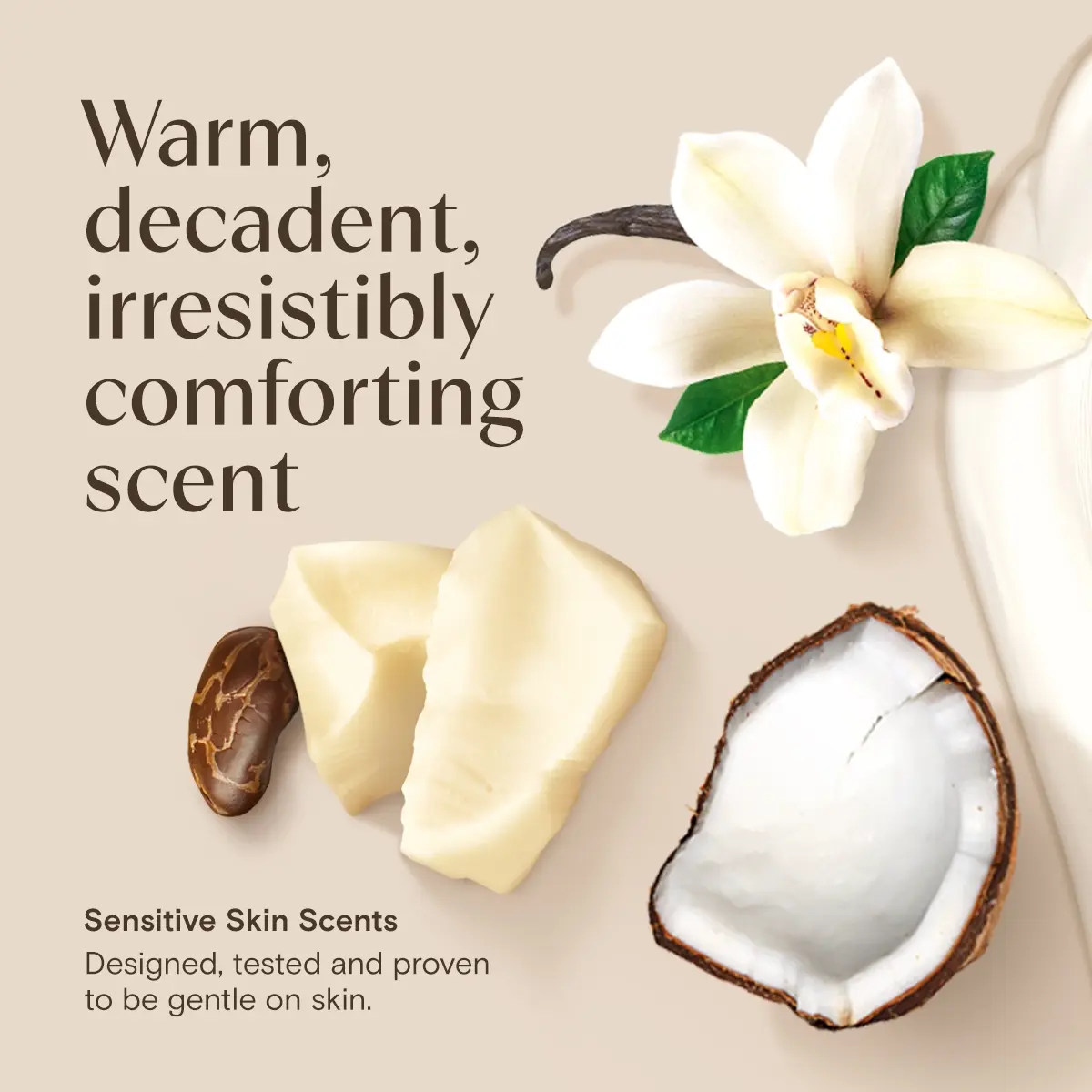 Aveeno® DM Lotion Cocoa Butter Vanilla Scent, warm, decadent, irresistibly comforting scent