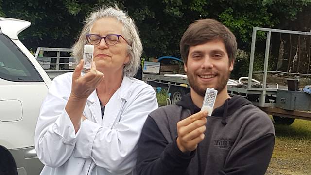 Gabriel after two days of intense hands on learning with his perfectly inseminated queen