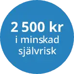 2500 minskad sjalvrisk@2x-300x300