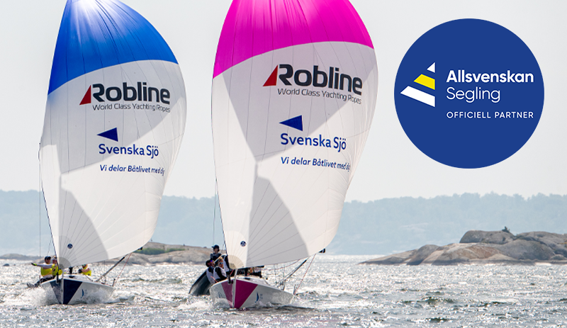 Artikelbild_Allsvenskan_800x463