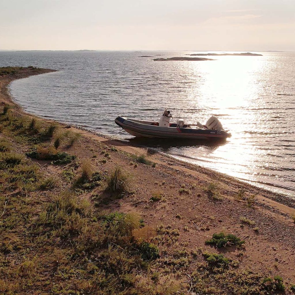 kokar-strand-1024x1024.jpg
