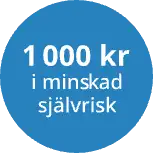 1000 minskad sjalvrisk@2x-300x300
