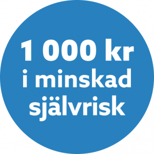 1000 minskad sjalvrisk@2x-300x300