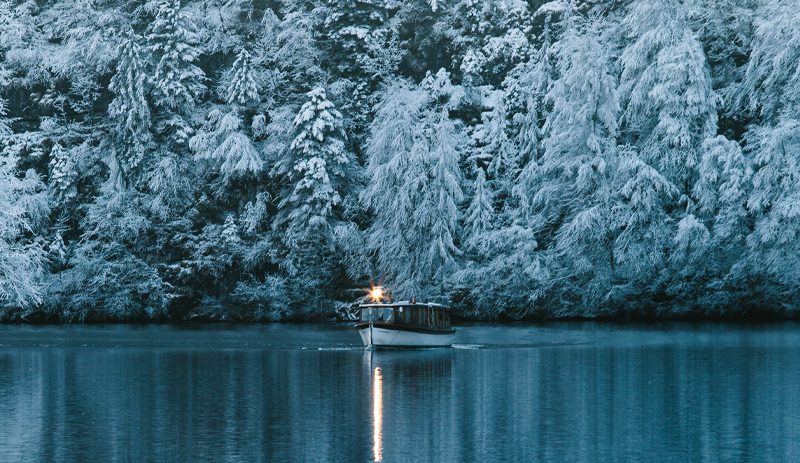 Vinter_Artikel_800x463