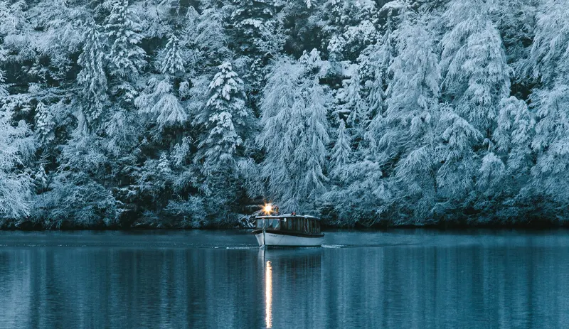 Vinter_Artikel_800x463