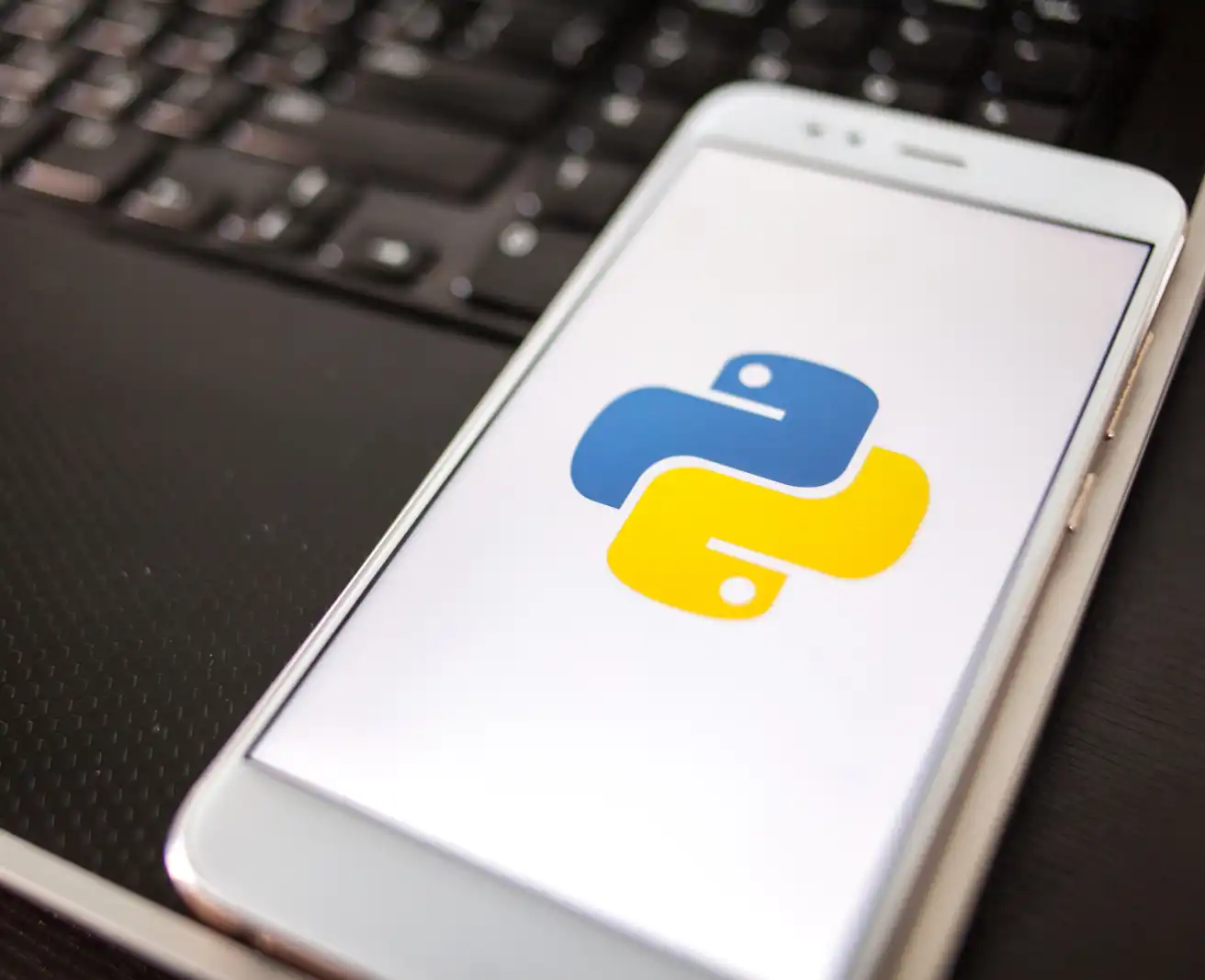 Python App Development