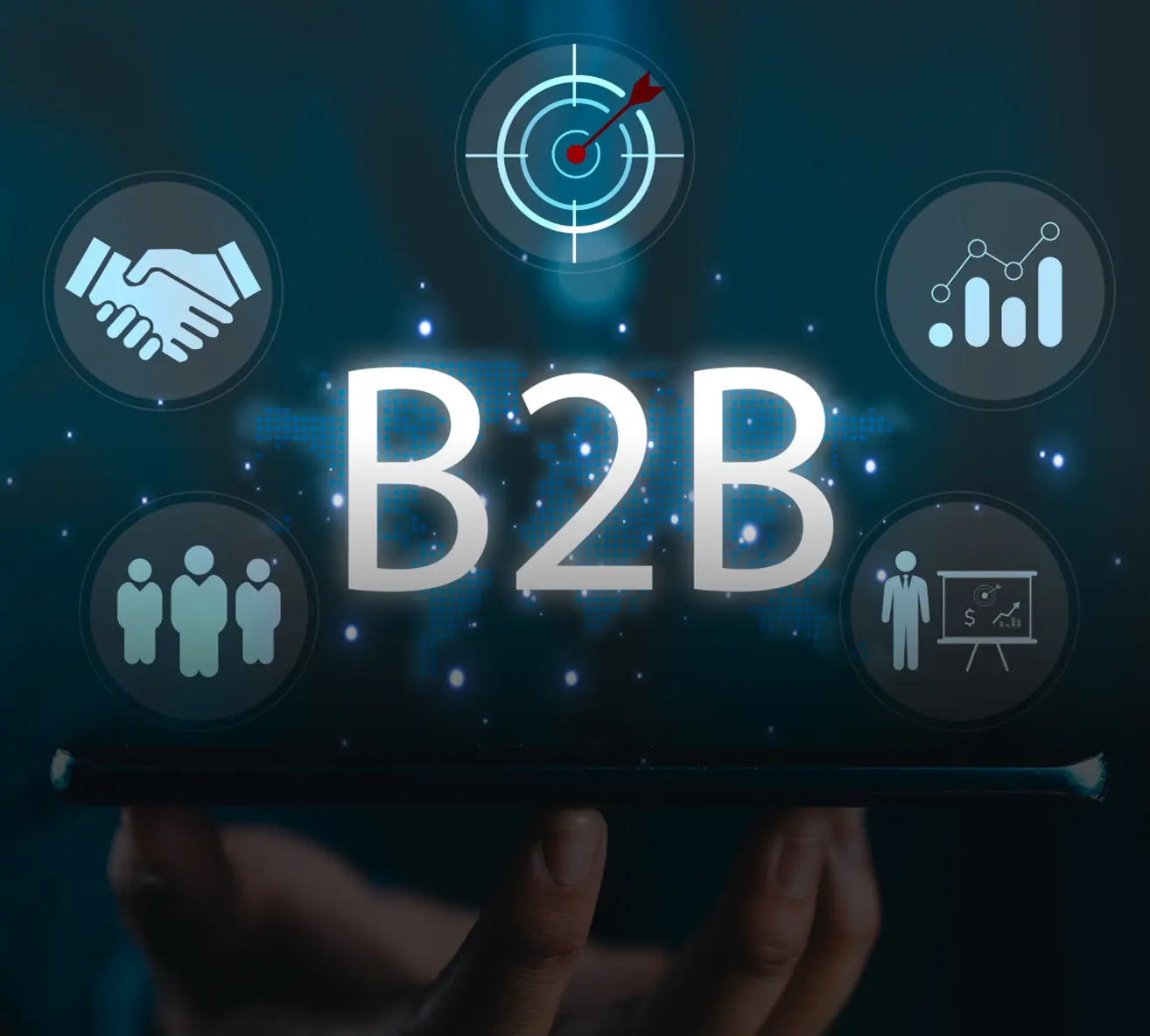 Tailored B2B Platforms