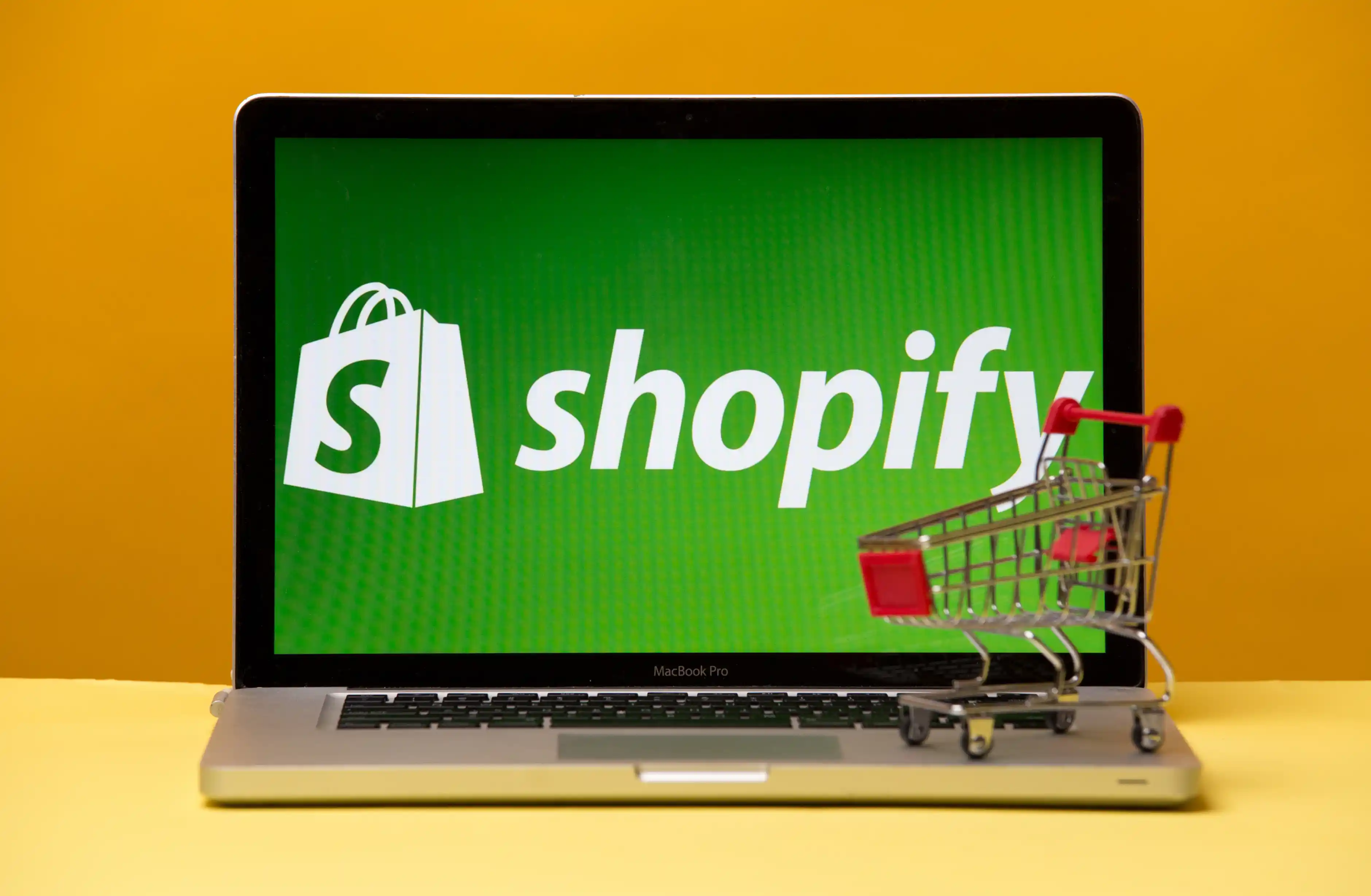 Shopify Development Services