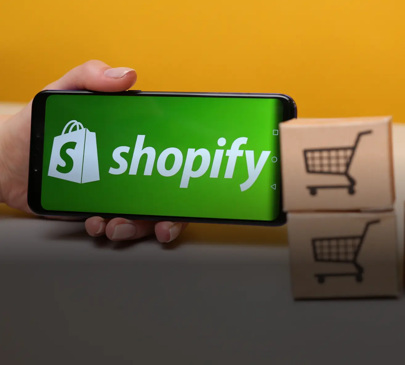 Extensive Shopify Expertise