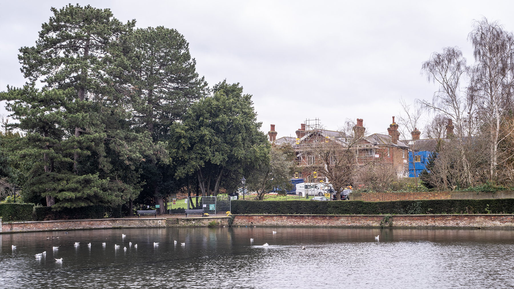 Curl la Tourelle Head
