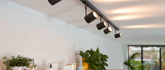 Hive outdoor security 2024 light