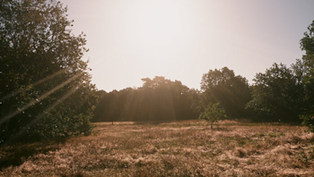 World Energy Efficiency Day: creating a sustainable future at home