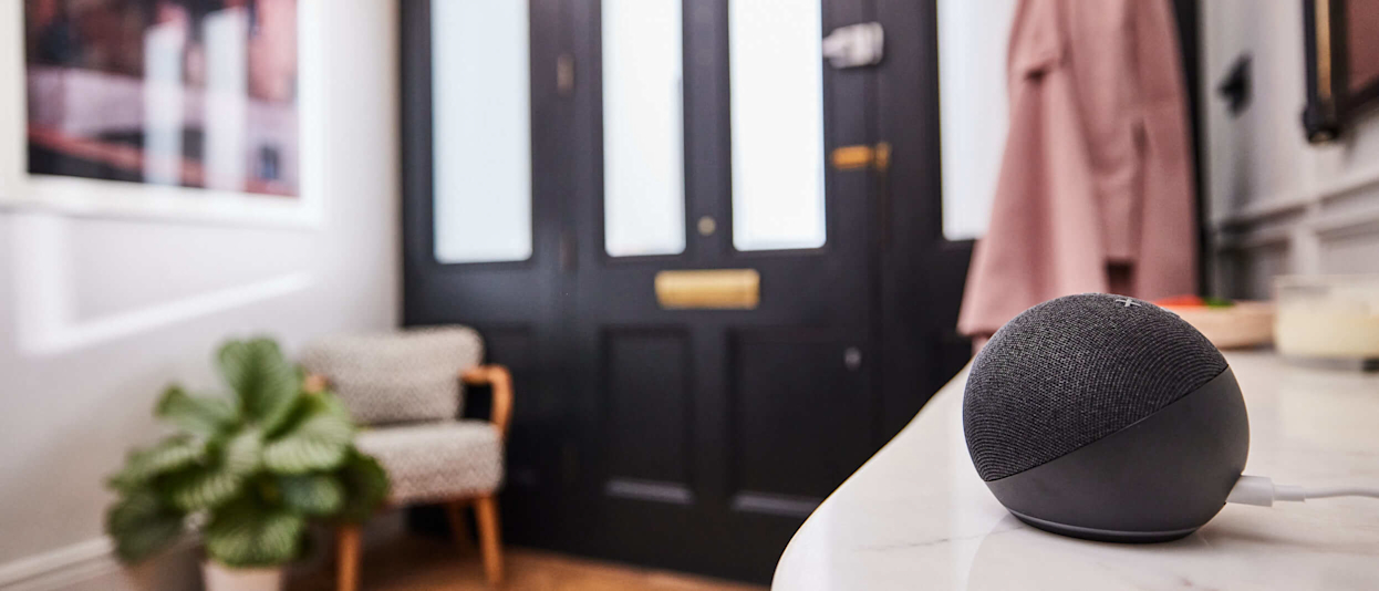 Things that work hot sale with echo dot