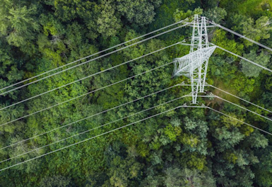 Overhead view of electricity pylon surrounded by green trees