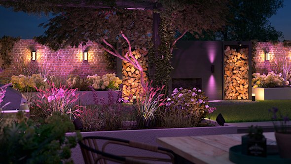 Large garden with tree in the middle and planters against the wall with white and purple lights situated throughout the garden