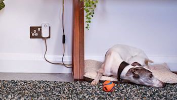 What is a smart plug?