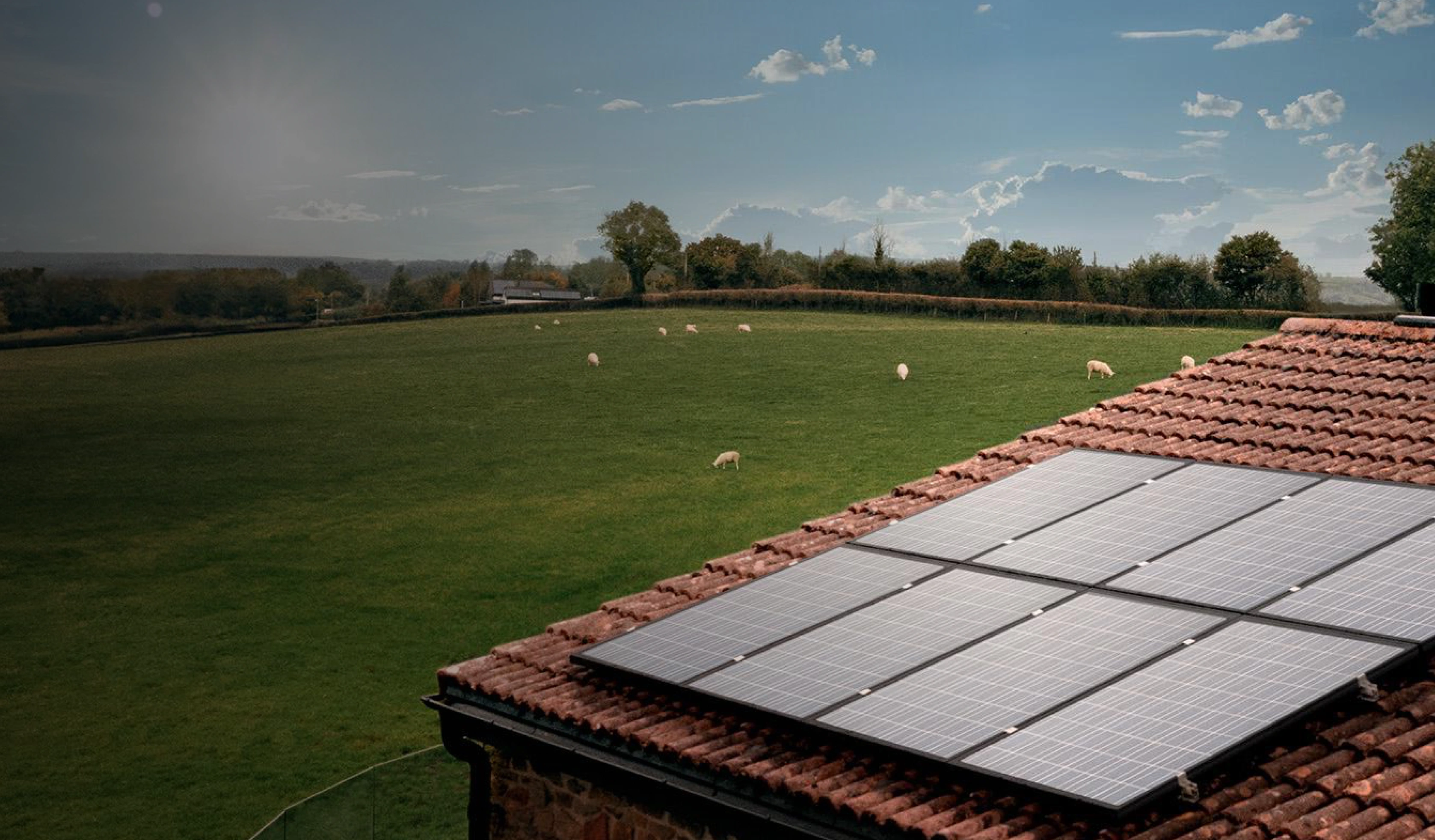 Hive Solar & Battery