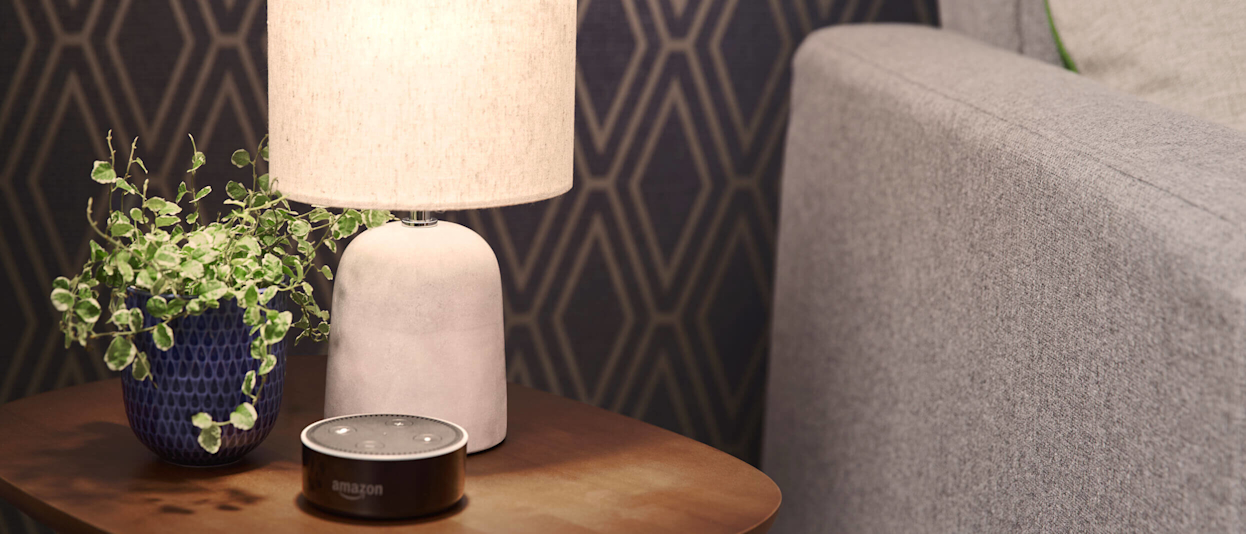 Does echo dot work with deals hive