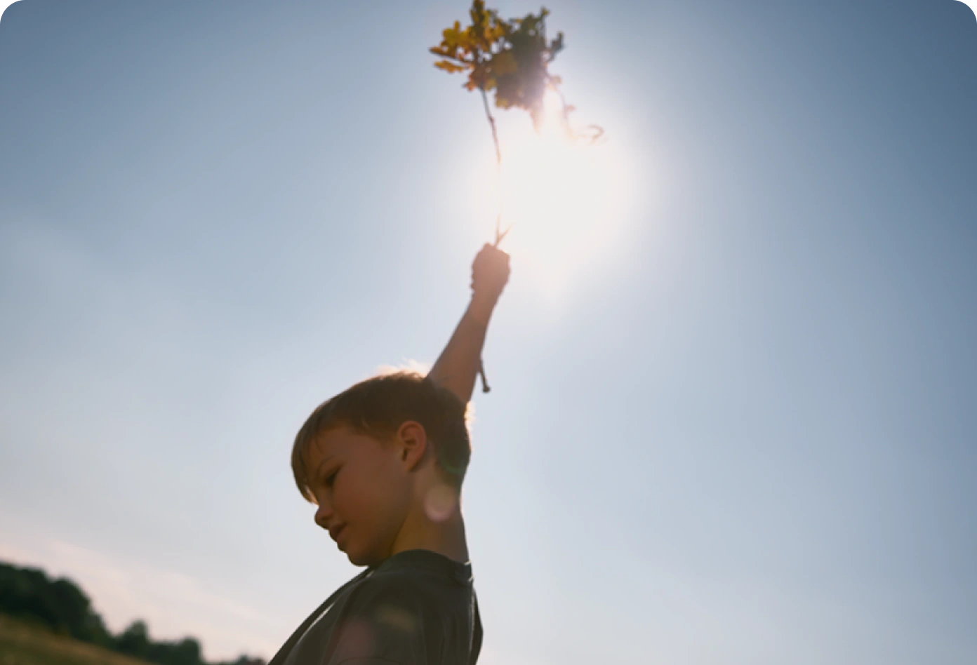 Hive Air Source Heat Pumps