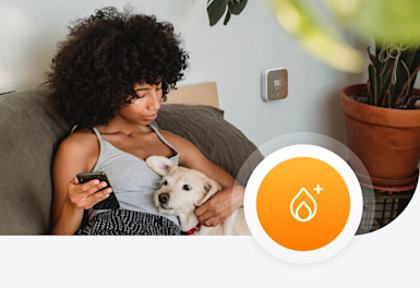 Woman sitting on a dark grey sofa cuddling a small dog in one hand and holding a smartphone in her other hand, and a Hive Thermostat Mini attached to the grey painted wall in the background, with a superimposed Hive Heating Plus logo in the bottom right corner