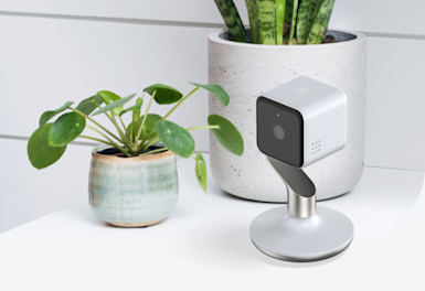 Hive View Indoor Camera sitting on a white unit next to a large concrete plant pot and a smaller ceramic plant pot with a leafy green plant inside it