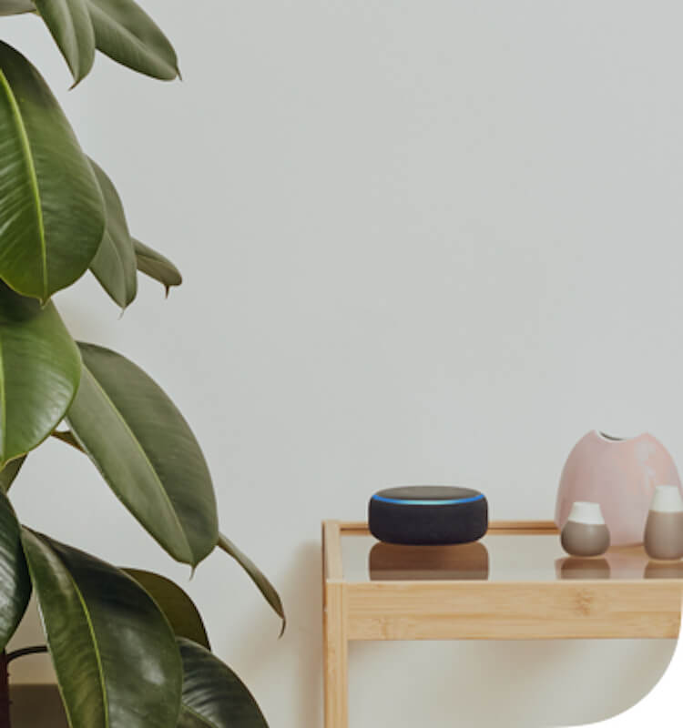 Hive and Amazon Alexa Hive Home