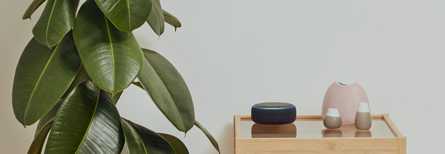 Does echo dot work with deals hive
